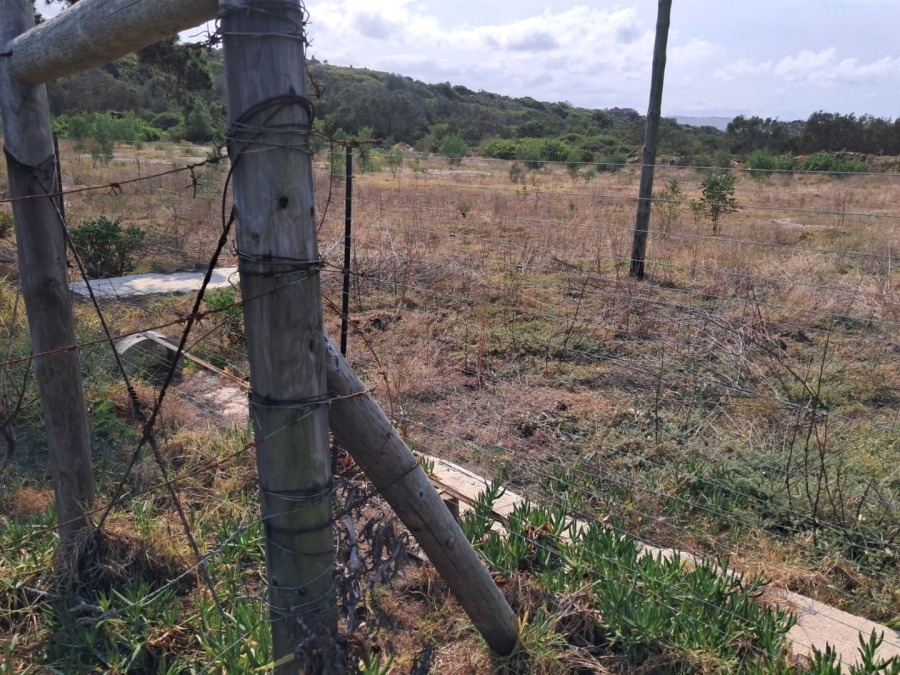  Bedroom Property for Sale in Tergniet Western Cape